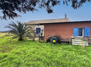 IMG_9876 copie_Radiant