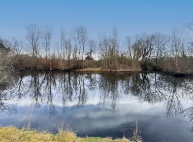 IMG_9884 copie_Radiant